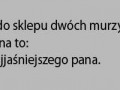 Dowcip