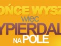 Słońce wyszło!