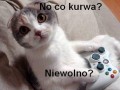 Nie wolno...