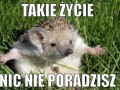 Takie życie