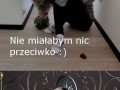 Też bym nie miał nic przeciwko...