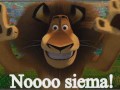 Siema!