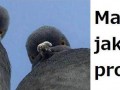 Masz jakiś problem...