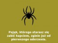 Pająk