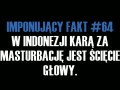 Imponujący fakt 64