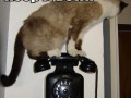 Poczekaj, jestem na telefonie