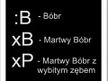 Bobry