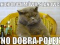 No dobra polej