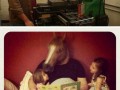 Horse