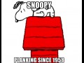 Snoopy