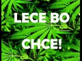 Lece bo chce