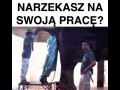 Narzekasz na swoją pracę...