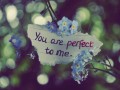 You are perfect to me