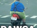 Dawca