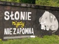 Słonie nigdy nie zapomną