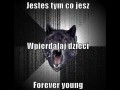 Insanity Wolf