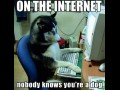 W internecie nikt nie wie, że jesteś psem