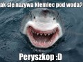 Jak się nazywa Niemiec pod wodą...