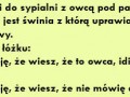 Dowcip o owcy