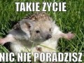 Takie życie...