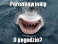 Porozmawiamy