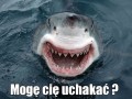Mogę Cię uchakać...