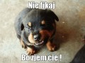 Nie fikaj