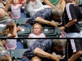 Like a Boss