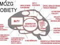 Mózg kobiety