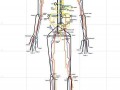 Underskin