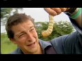 Man vs Wild - Ogromna larwa