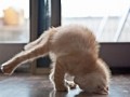 Breakdance