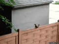 Hop!