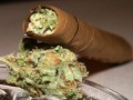 Weed