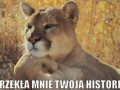 Urzekła mnie Twoja historia