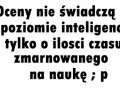 Oceny nie świadczą o poziomie inteligencji tylko...