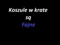 Koszule w krate