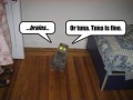 Tuna is fine