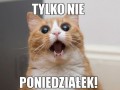 TYLKO NIE PONIEDZIAŁEK!