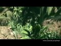 Sniper theme
