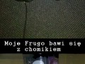 Frugo