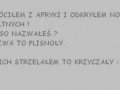 Plisnoły