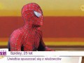 Spidey