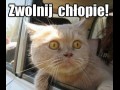 Zwolnij chłopie!