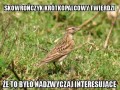 Dobra rada