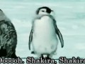 Oh Shakira Shakira