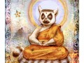 Budda