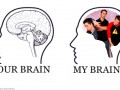 Brain