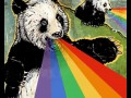 Pandy