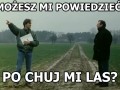 Po co mi las...